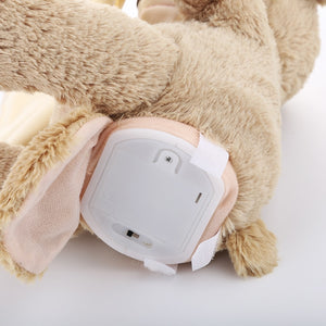 The Peek-A-Boo Teddy Bear - Plays Peak-A-Boo With Your Baby!